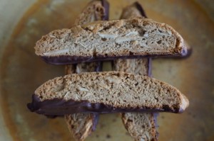 Chestnut Biscotti A (Medium)